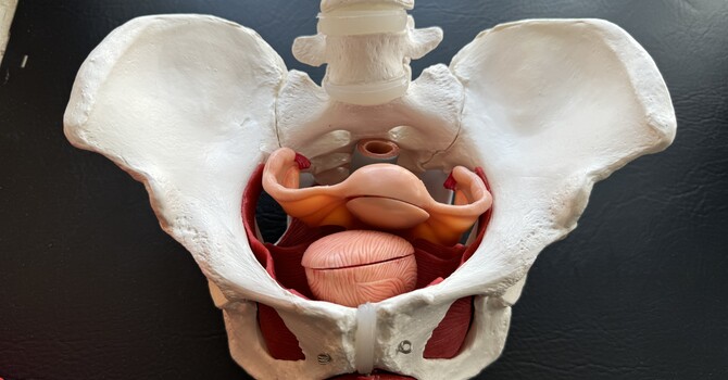 Pelvic Health Physical Therapy image